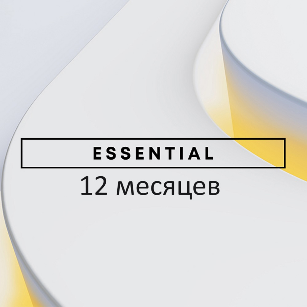 Подключение пакета PlayStation Plus Essential 12 месяцев 