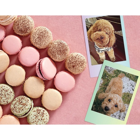 Картридж FUJIFILM Colorfilm Instax MINI Macaron, 10 листов