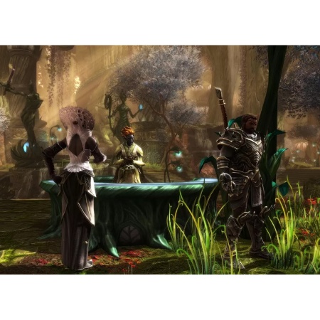 Игра Kingdoms of Amalur Re-Reckoning. Стандартное издание [PS4]