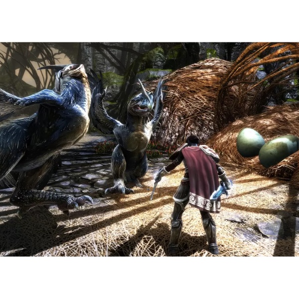 Игра Kingdoms of Amalur Re-Reckoning. Стандартное издание [PS4]