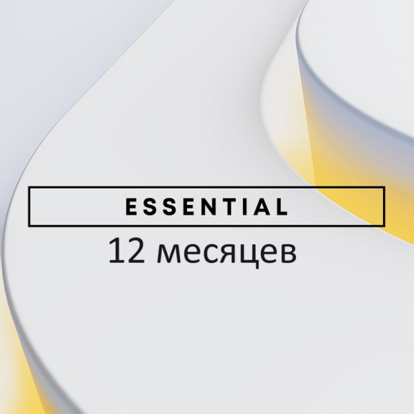Подключение пакета PlayStation Plus Essential 12 месяцев 