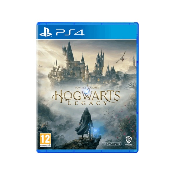 Игра Hogwarts Legacy [PS4, русские субтитры] (EU)