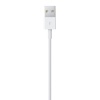 Кабель Apple Lightning to USB 1m (MXLY2ZM/A)