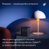 Умная колонка Яндекс Станция Миди с Алисой, с Zigbee. Цвет: черный