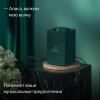 Умная колонка Яндекс.Станция Макс с Алисой, с Zigbee. Цвет: зелёный